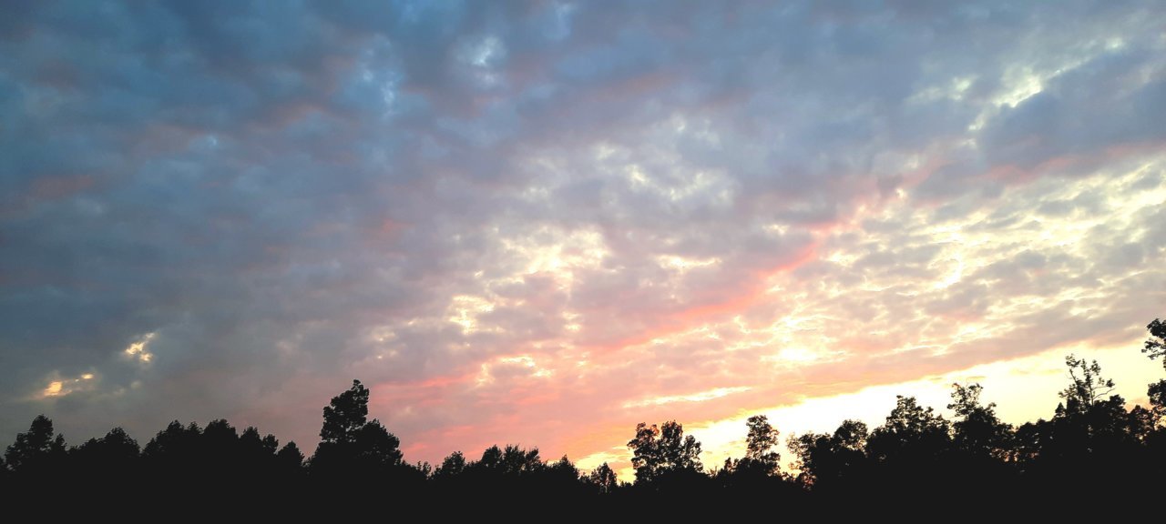 20230728_205259.jpg