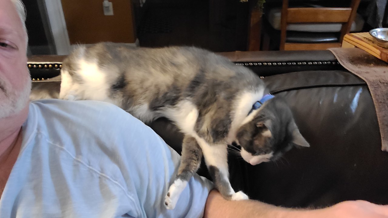 20230728_231225.jpg
