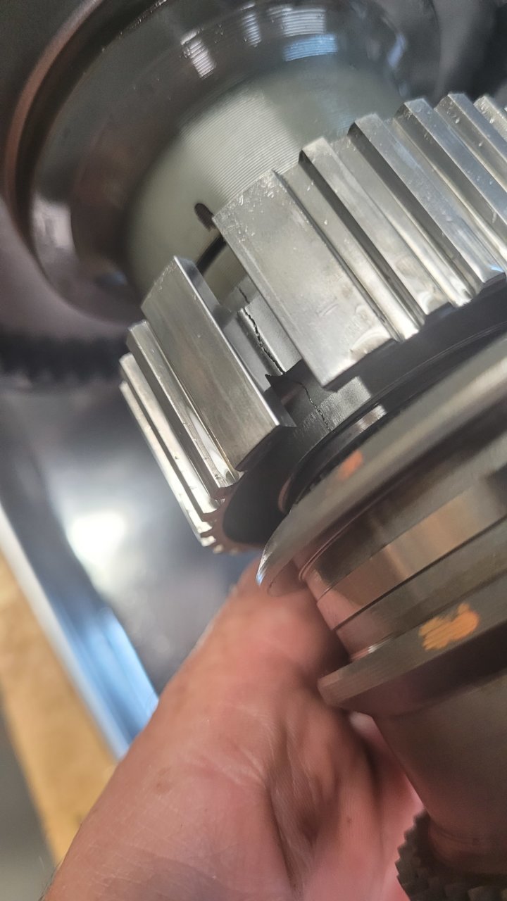 20230729_114125.jpg