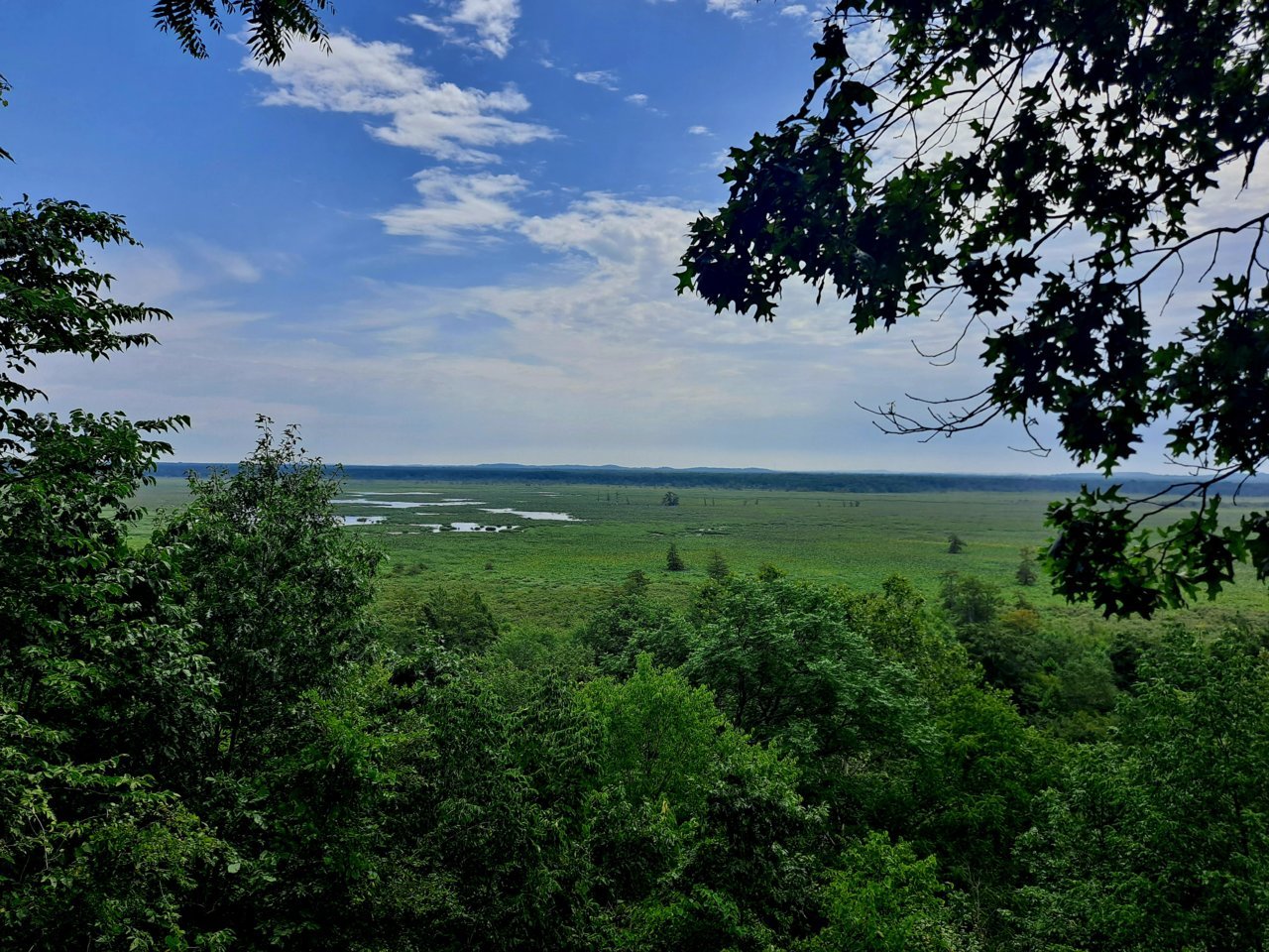 20230729_114404.jpg