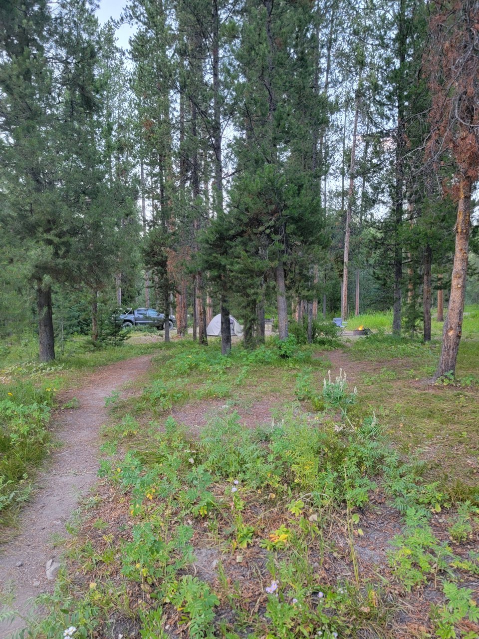 20230729_203215.jpg