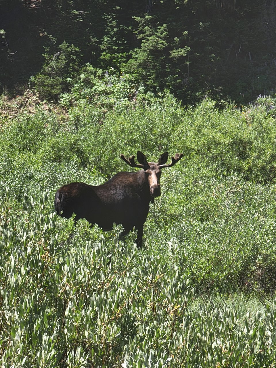 20230730_122504.jpg