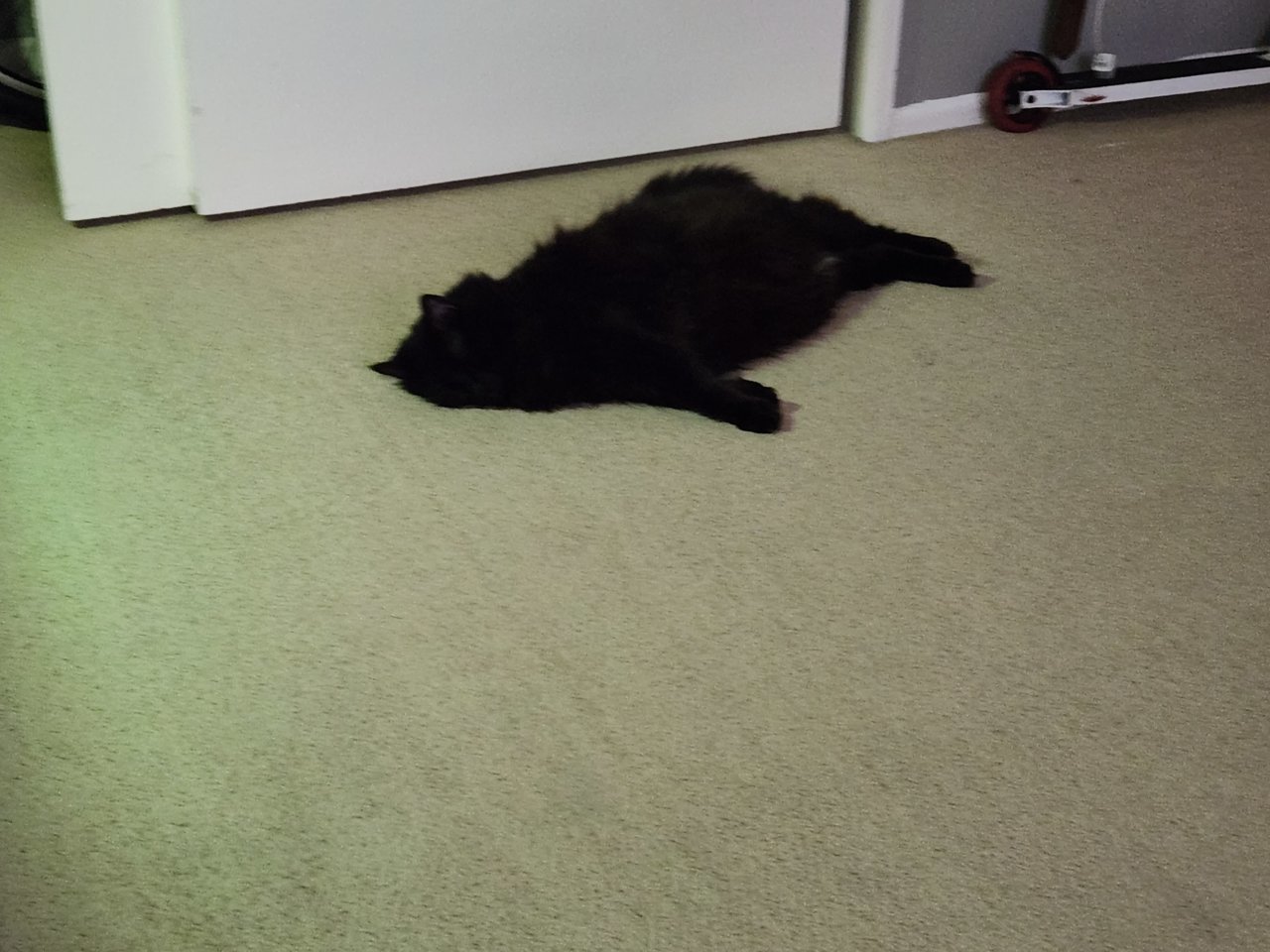 20230731_170122.jpg