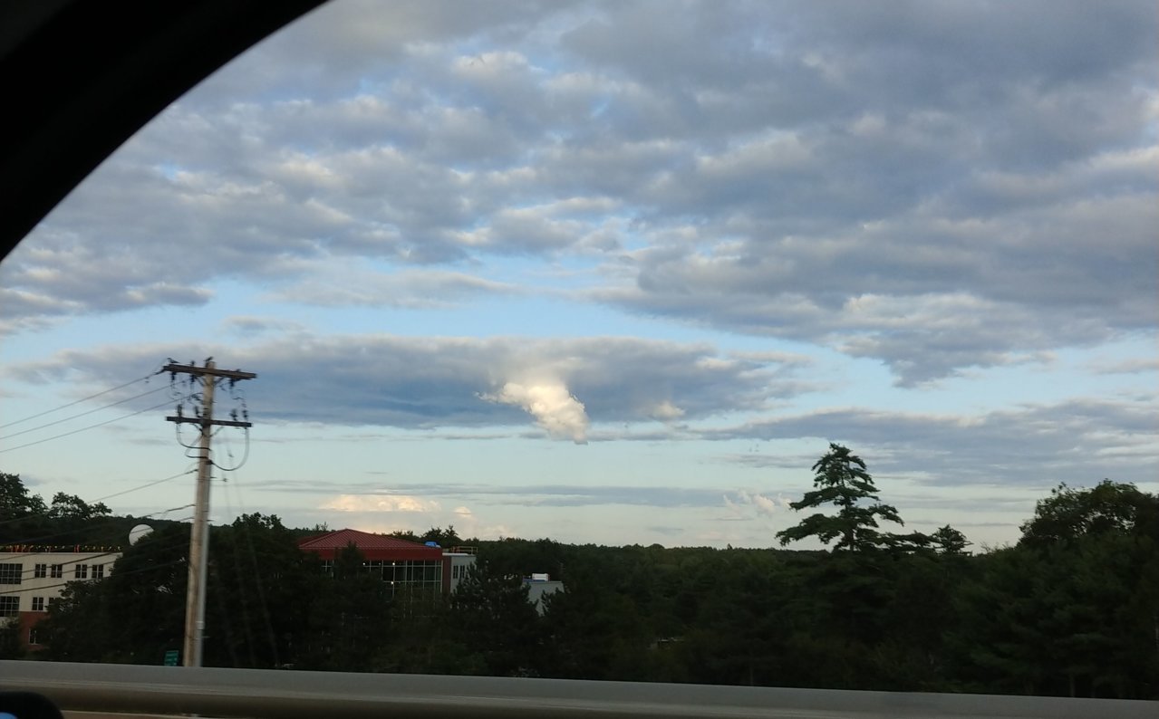 20230801_190608_HDR [1].jpg