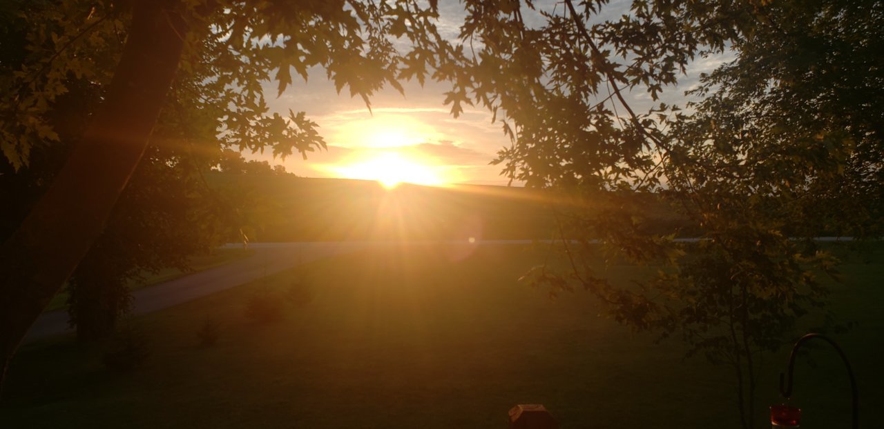 20230802_060736.jpg