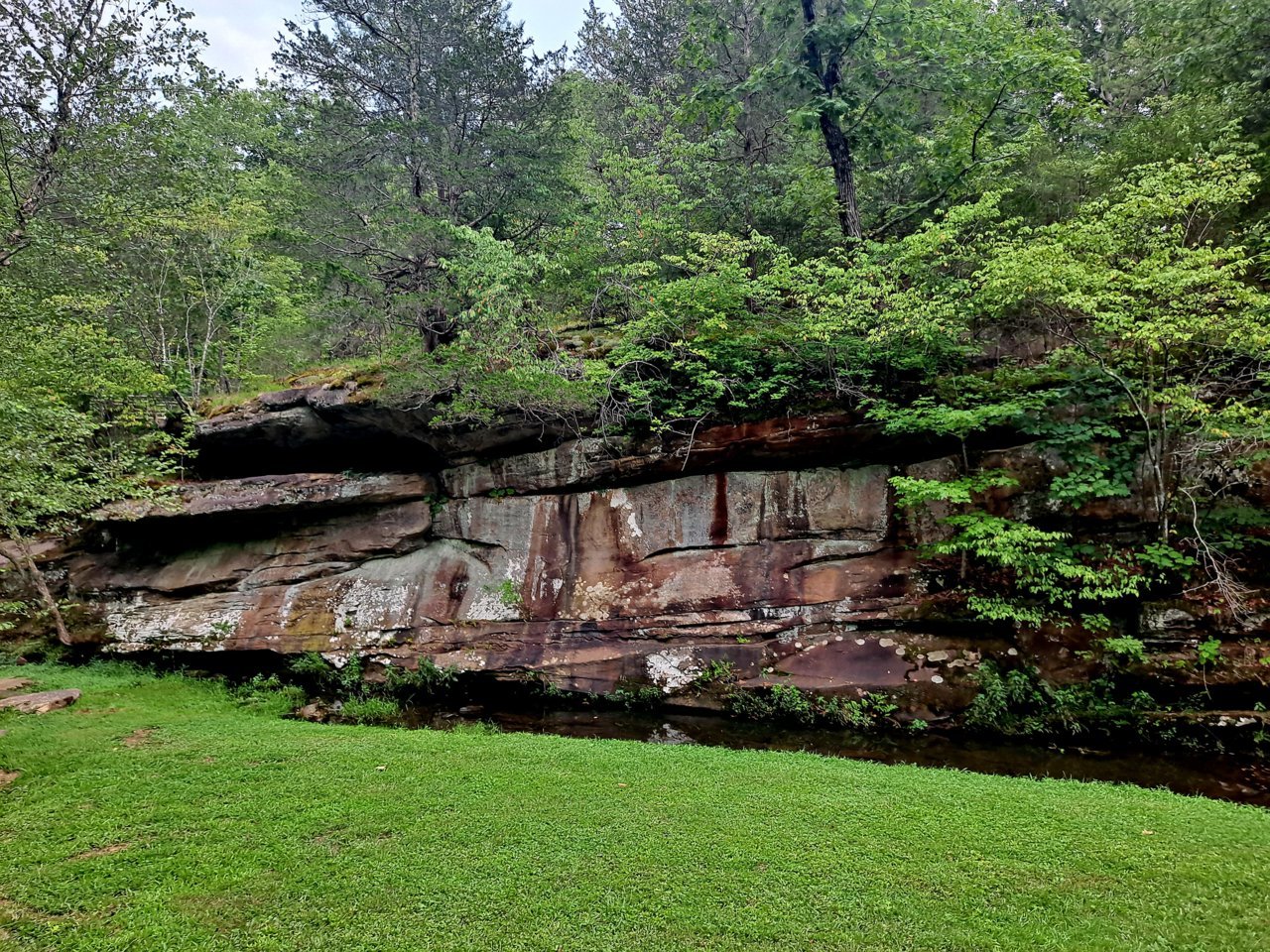 20230802_185134.jpg