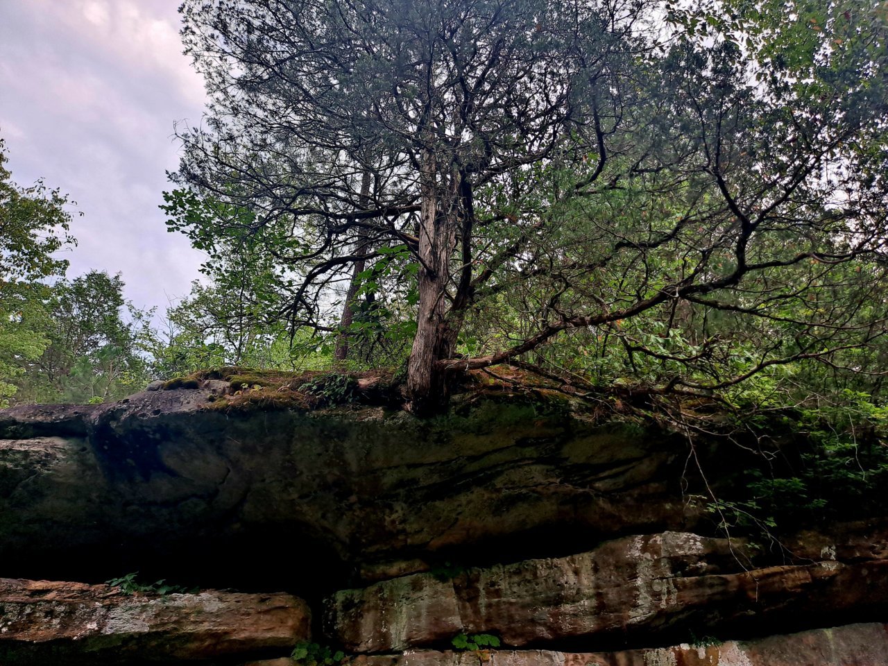 20230802_185339.jpg