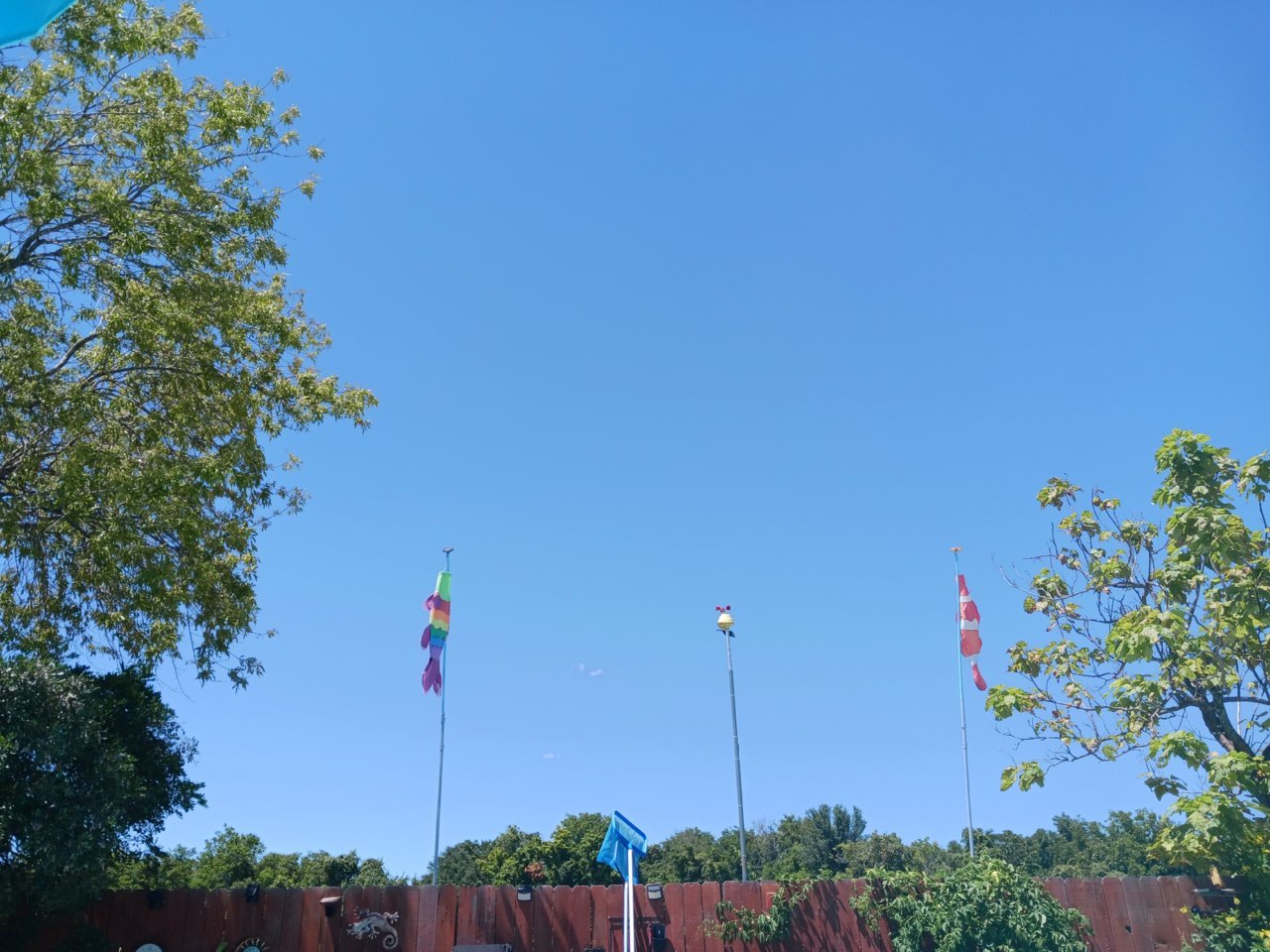 20230804_144937.jpg