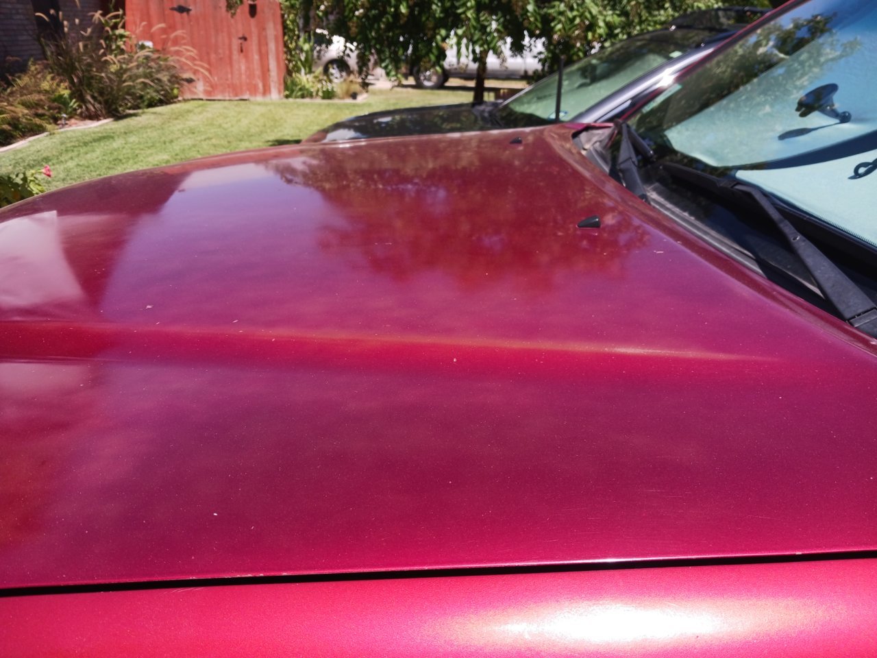 20230805_150534.jpg