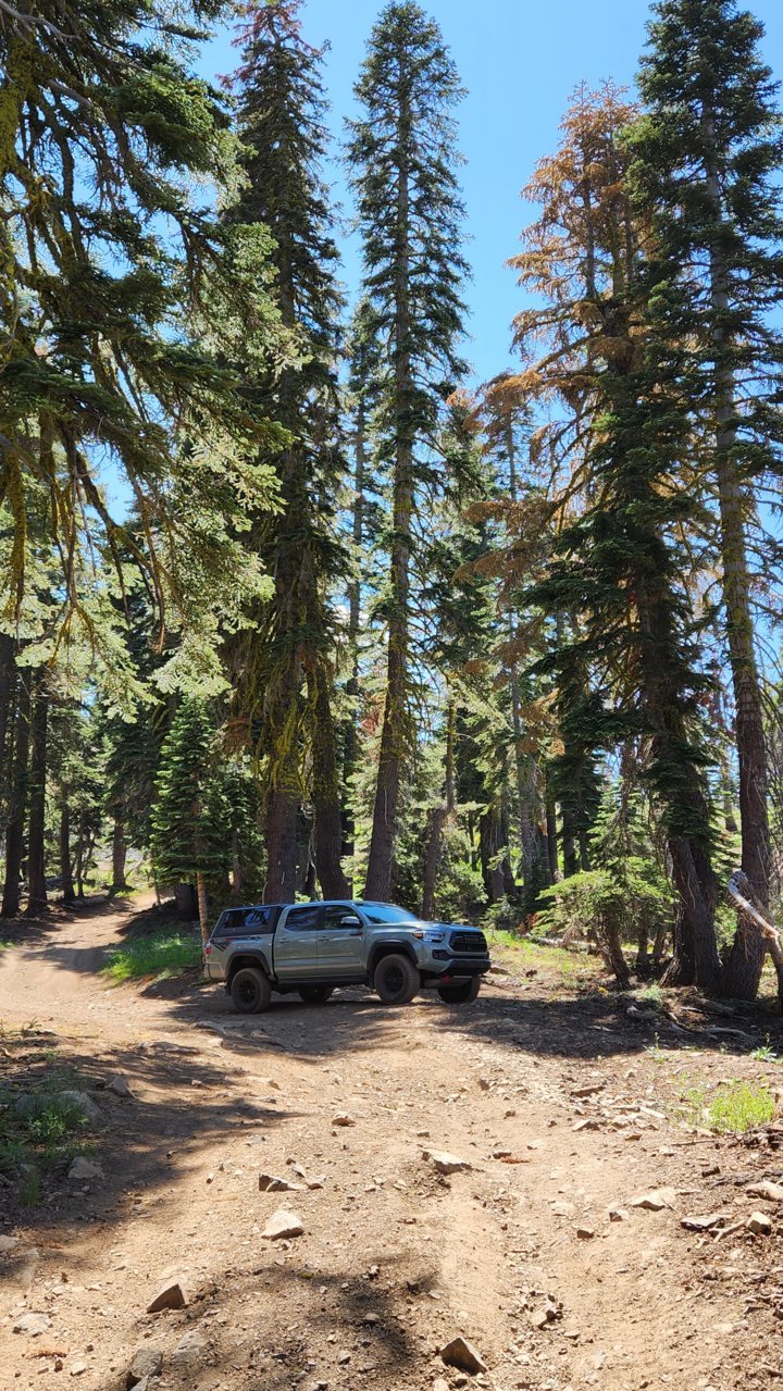 20230806_142650.jpg