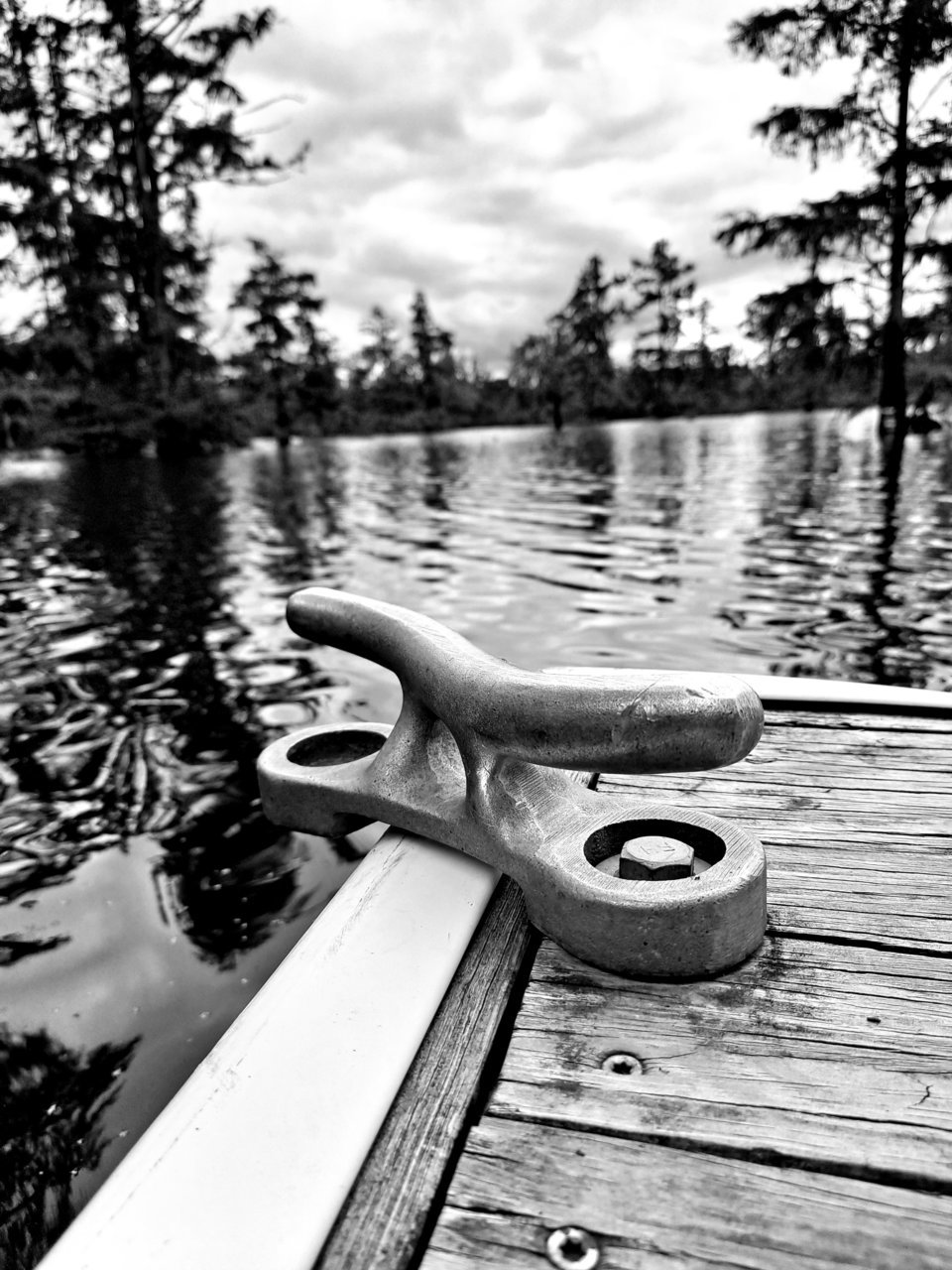 20230807_132227.jpg
