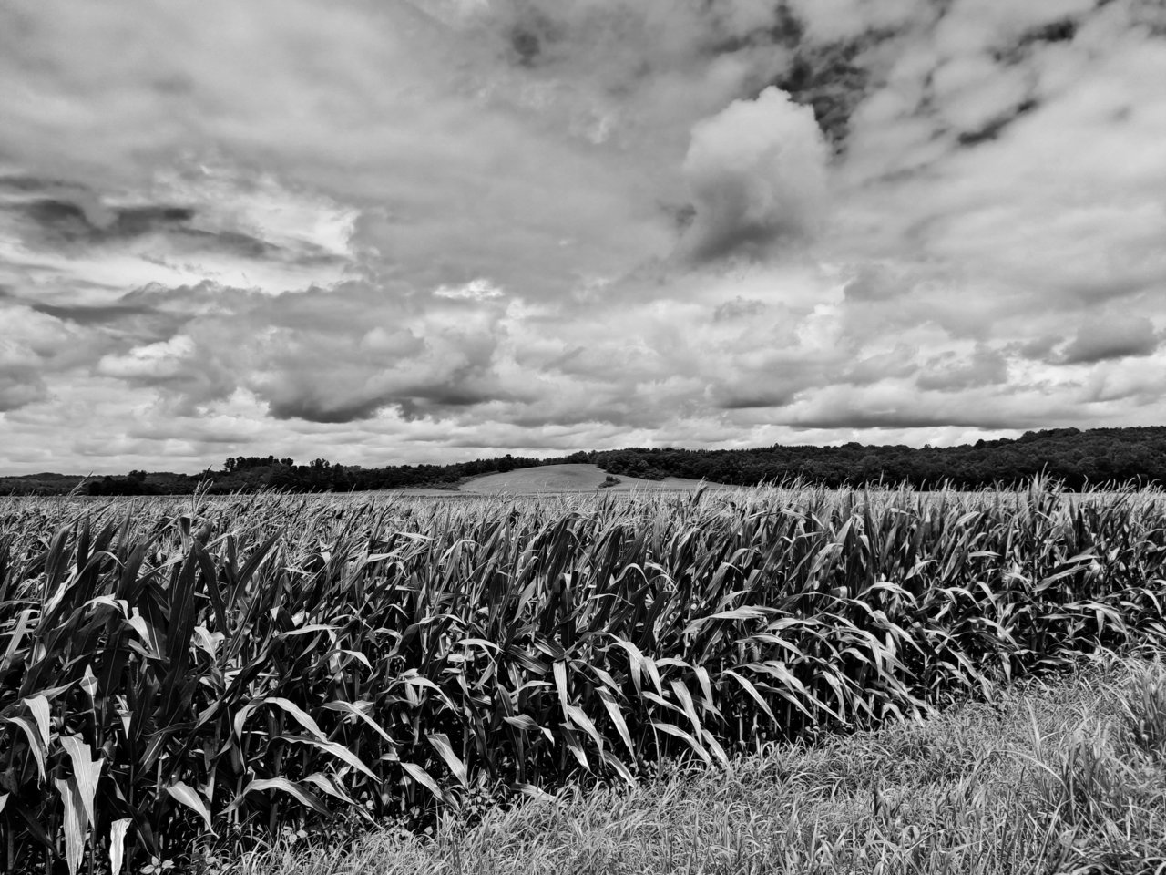 20230807_133350.jpg