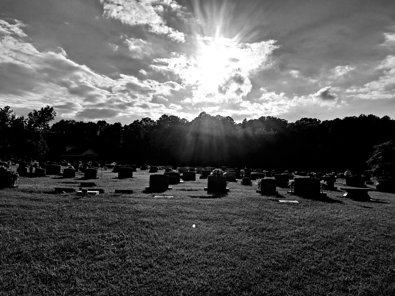 20230807_181347.jpg