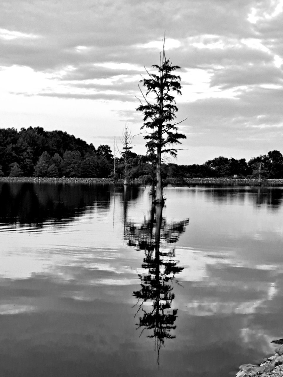 20230807_195239.jpg