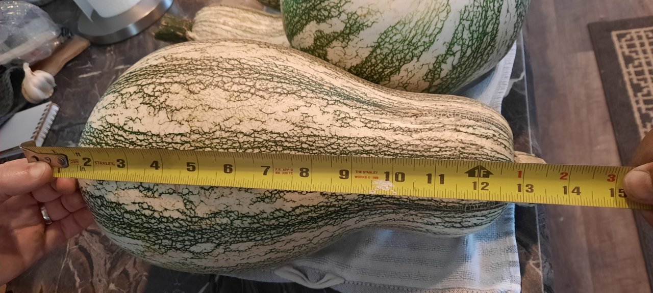 20230808_190021.jpg
