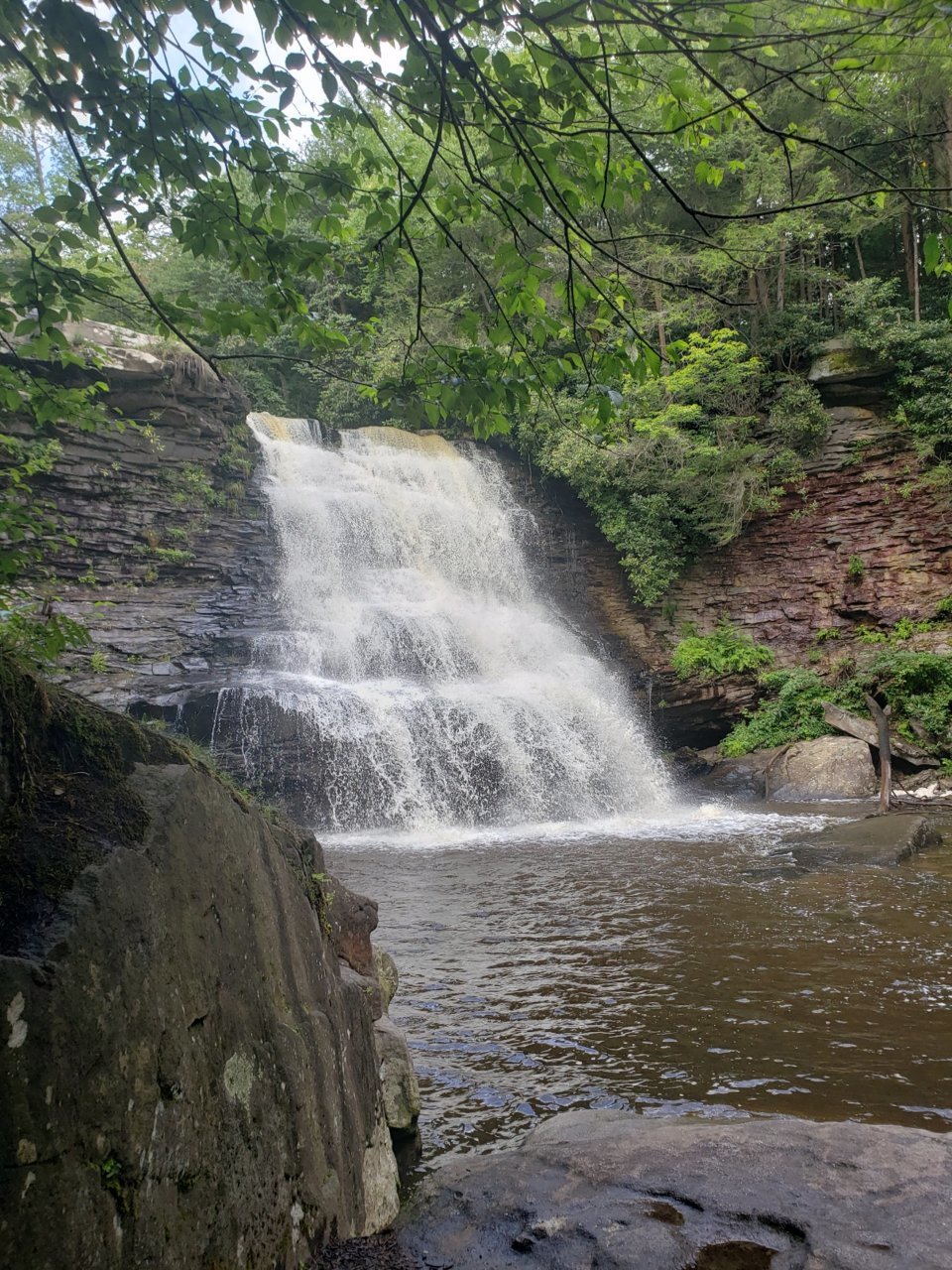 20230809_120618.jpg