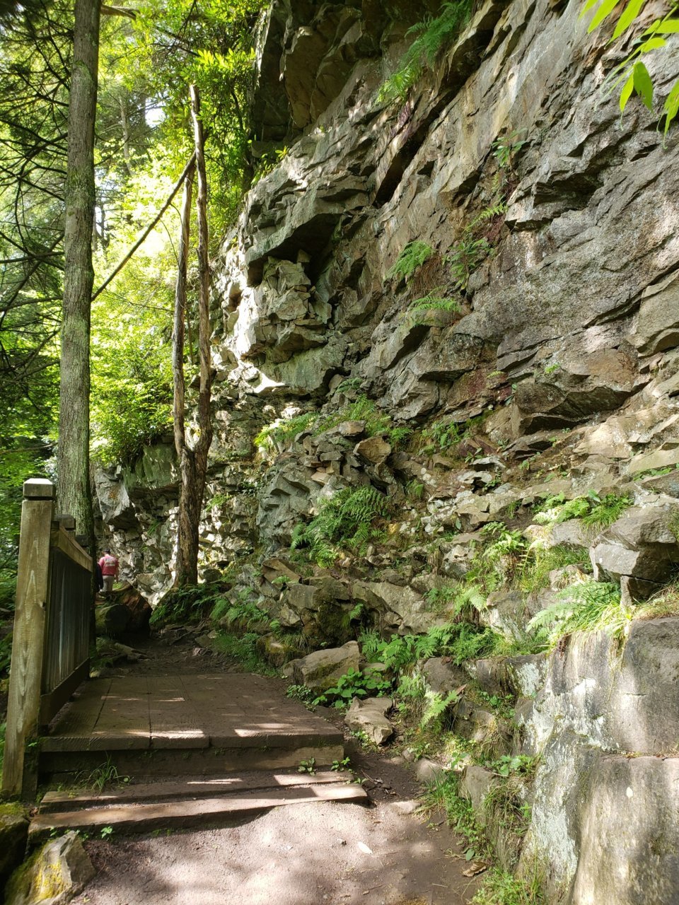 20230809_120638.jpg