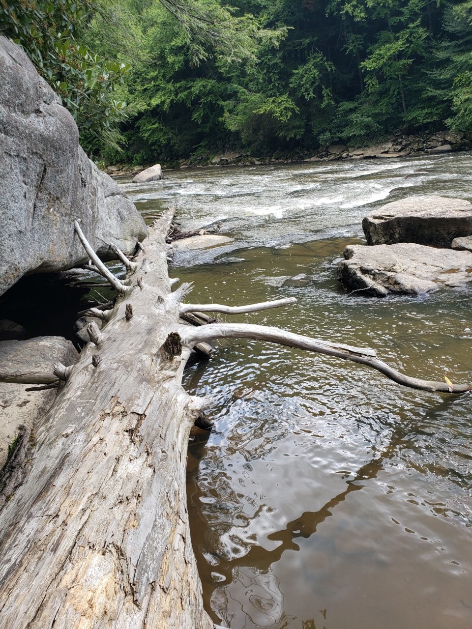 20230809_120713.jpg