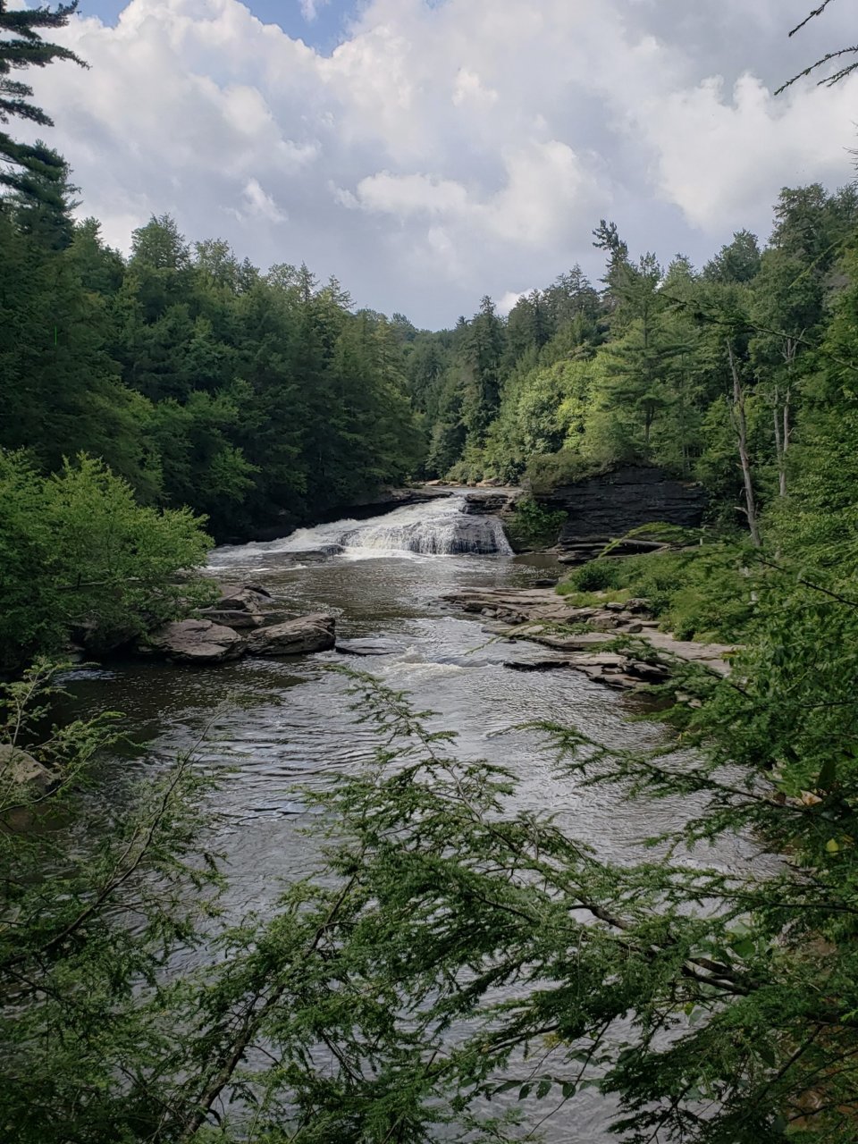 20230809_120735.jpg