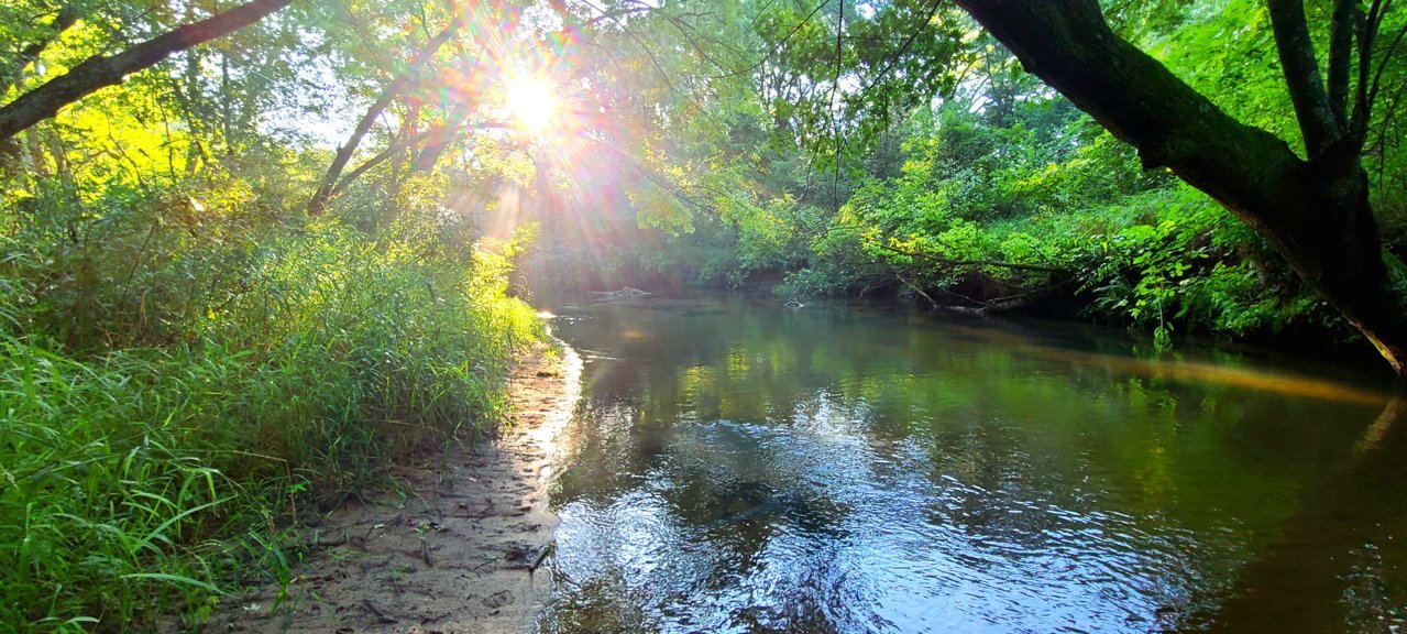 20230812_073748.jpg