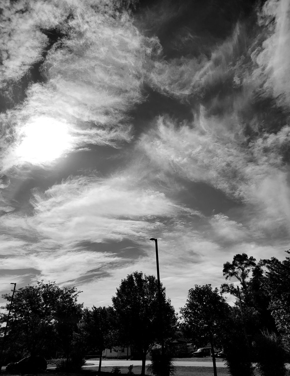 20230812_095541.jpg