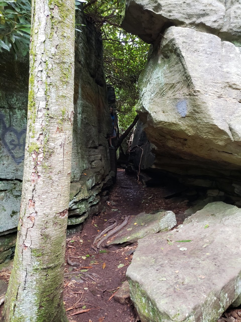 20230812_223628.jpg