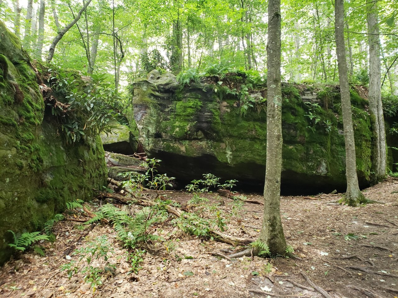 20230812_223651.jpg