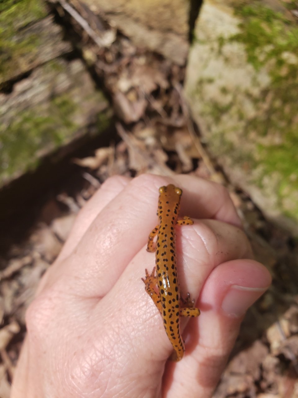 20230812_223741.jpg