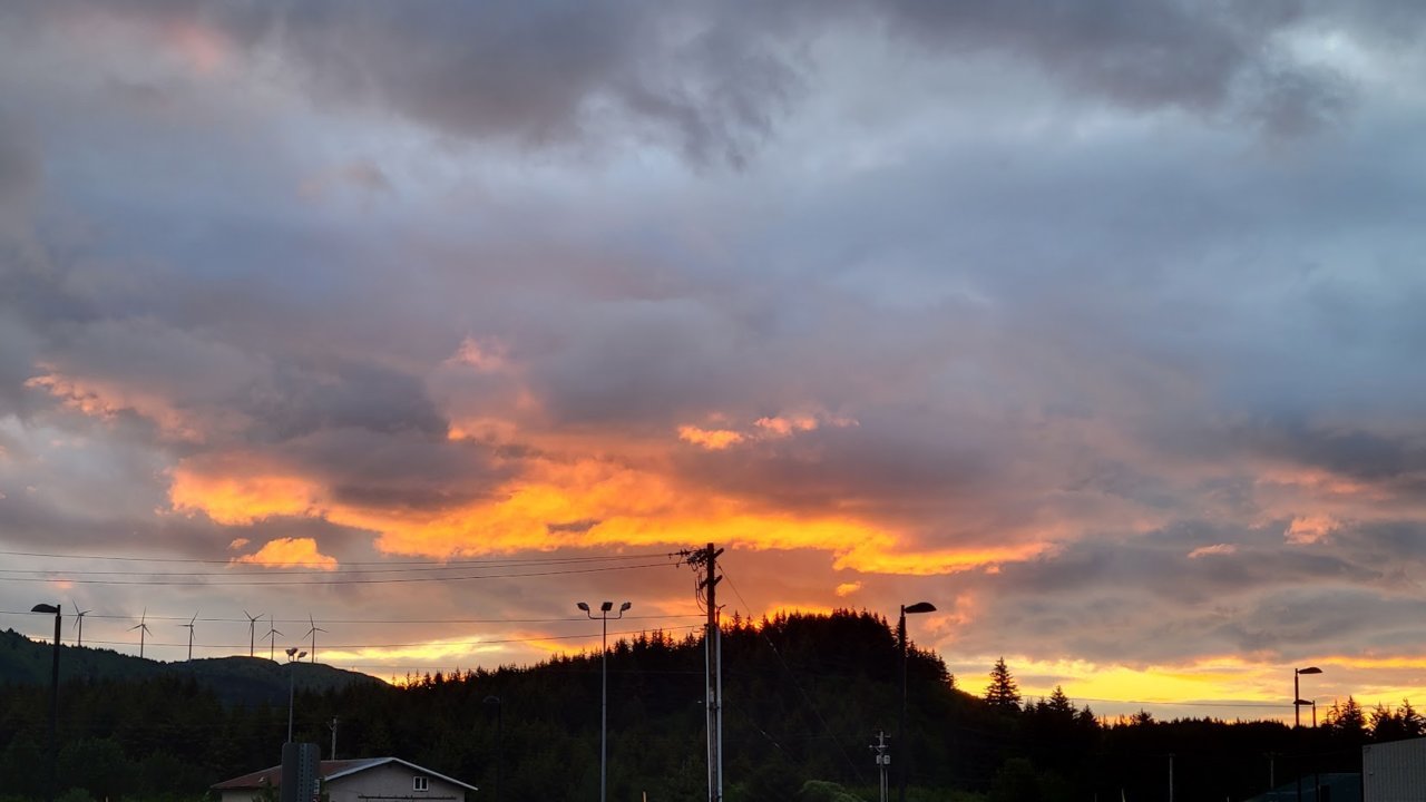 20230813_064122.jpg