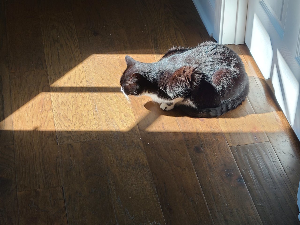 20230813_092624.jpg