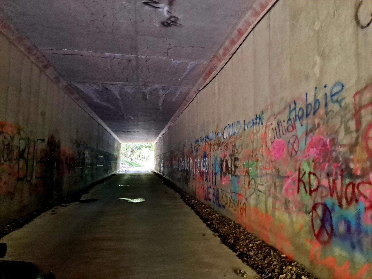 20230816_145147.jpg