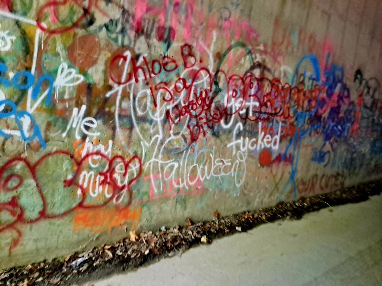 20230816_145246.jpg