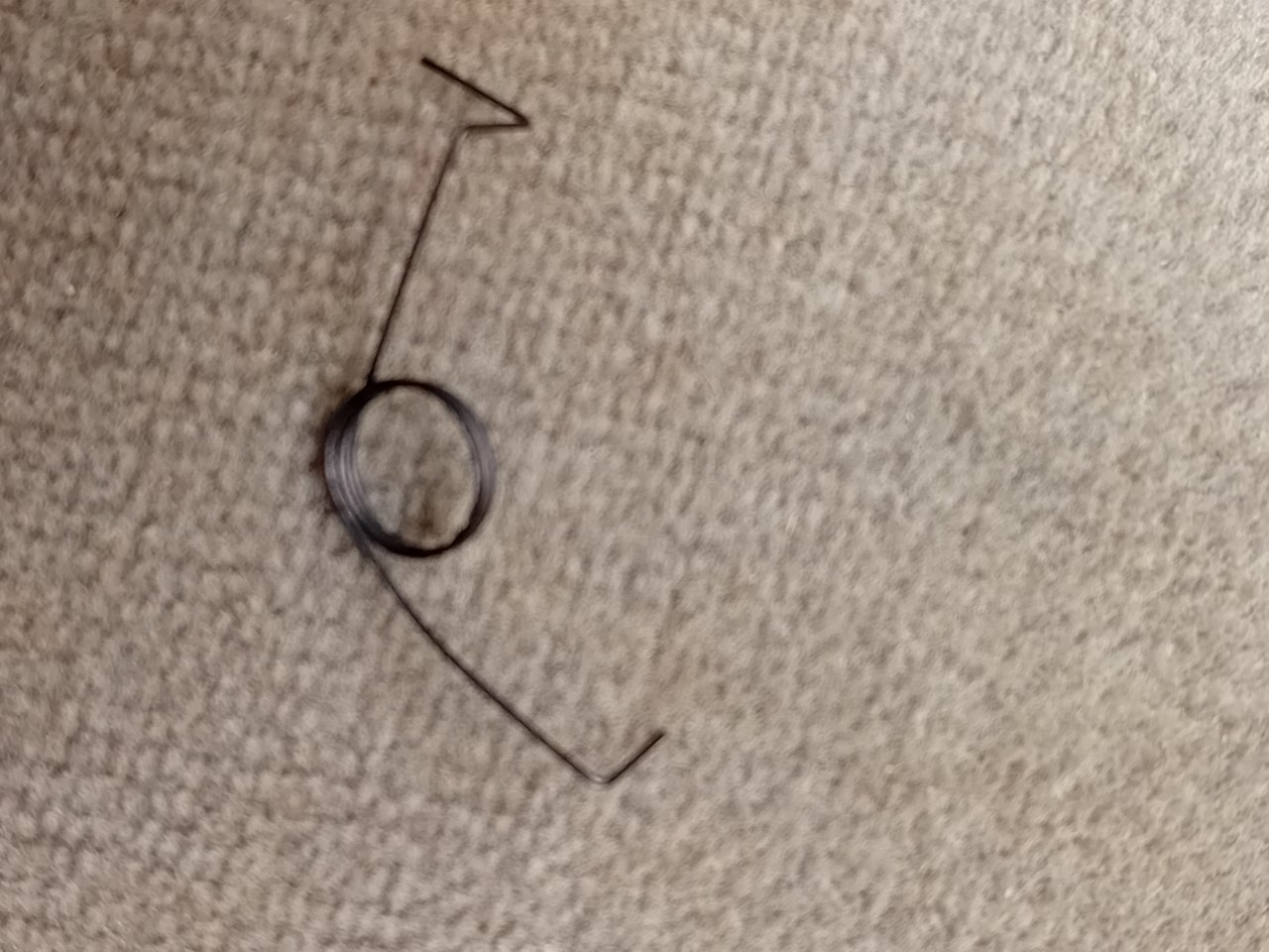 20230817_115601.jpg