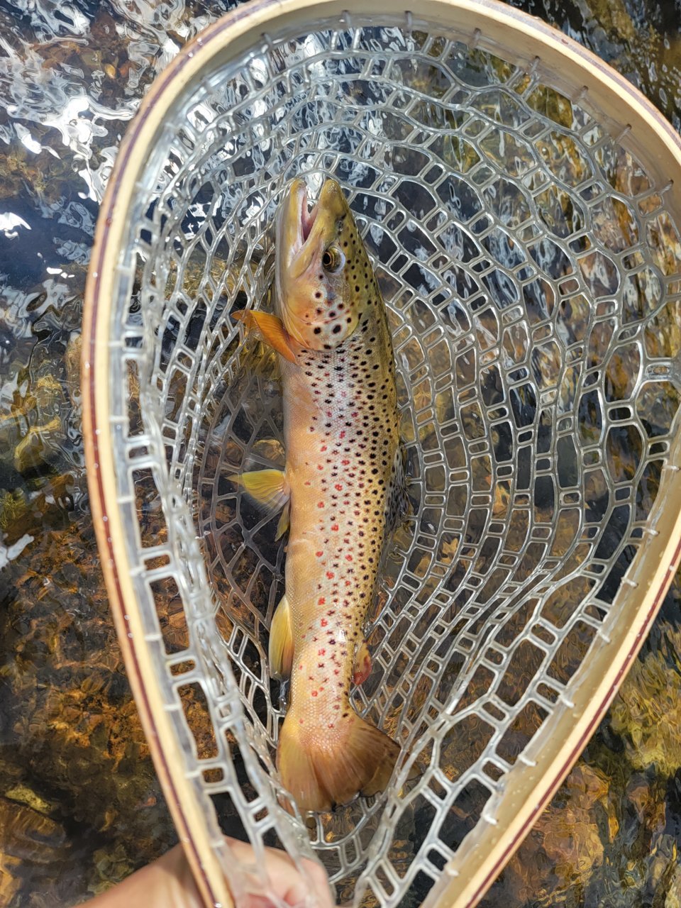 20230818_141519.jpg