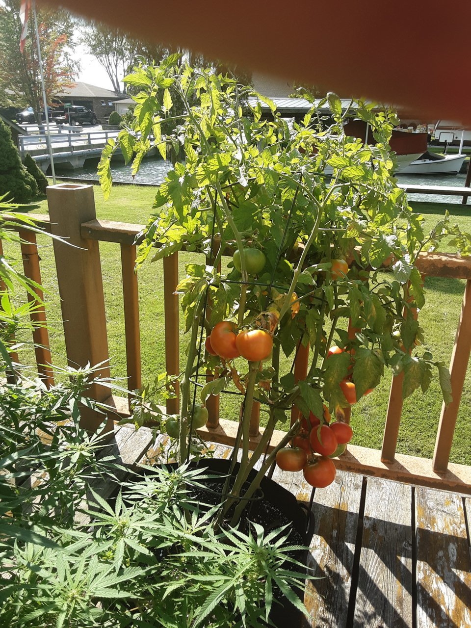 20230818_163630.jpg