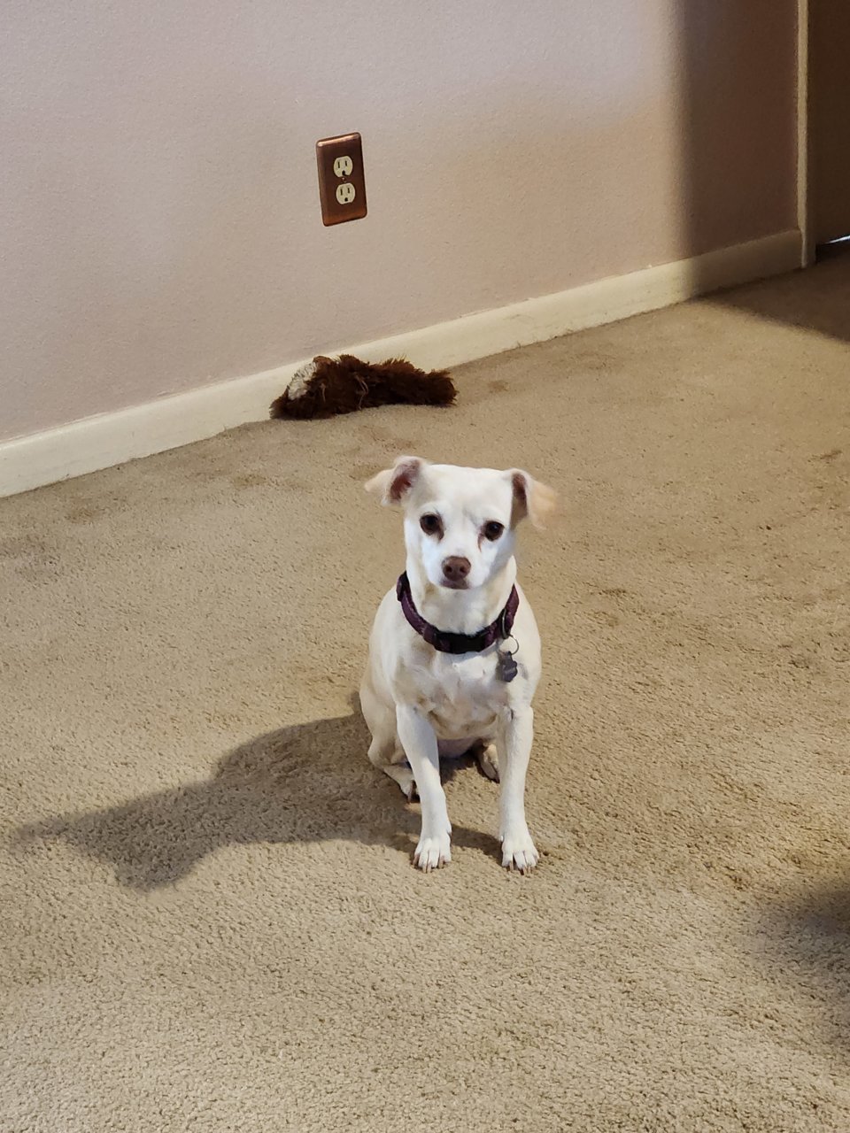 20230819_172901.jpg