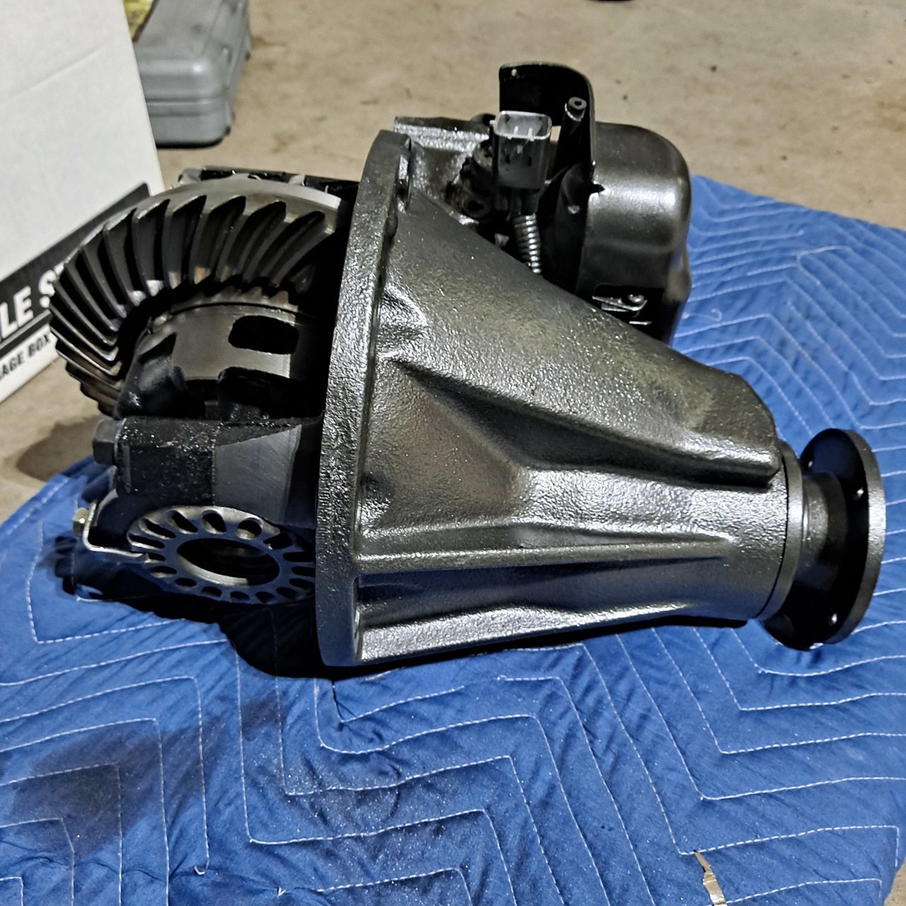 20230819_202907.jpg