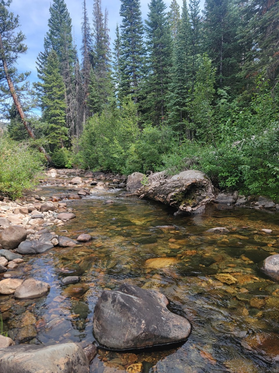 20230820_151911.jpg