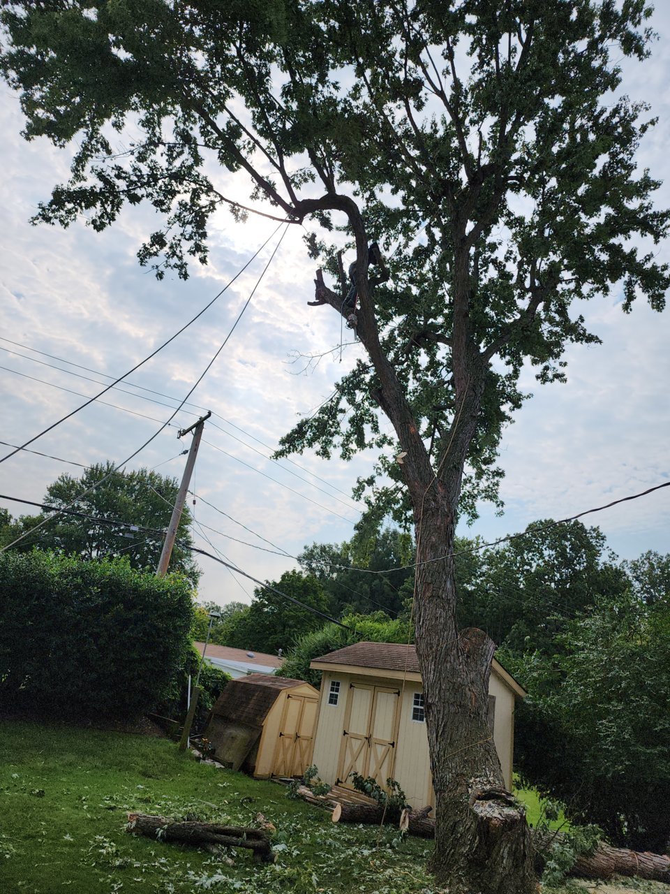 20230822_095351.jpg