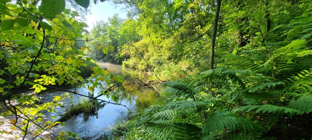 20230823_090135.jpg