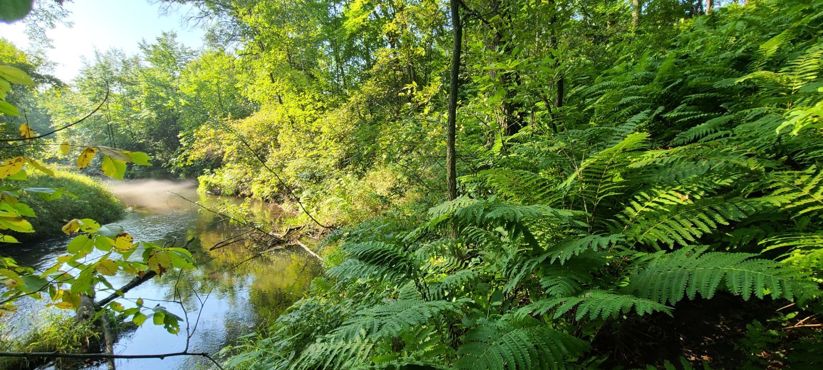 20230823_090158.jpg