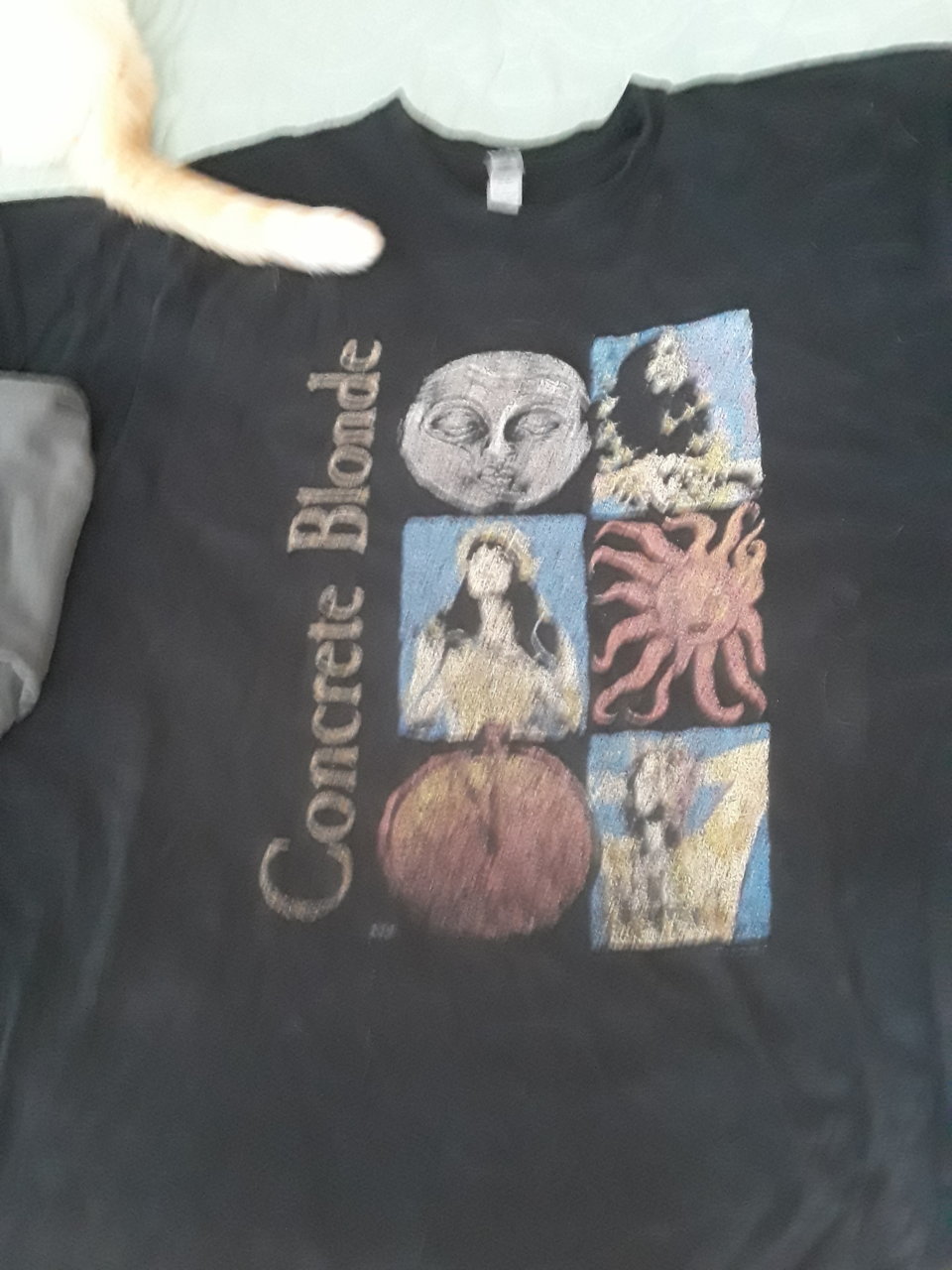 20230825_125813.jpg