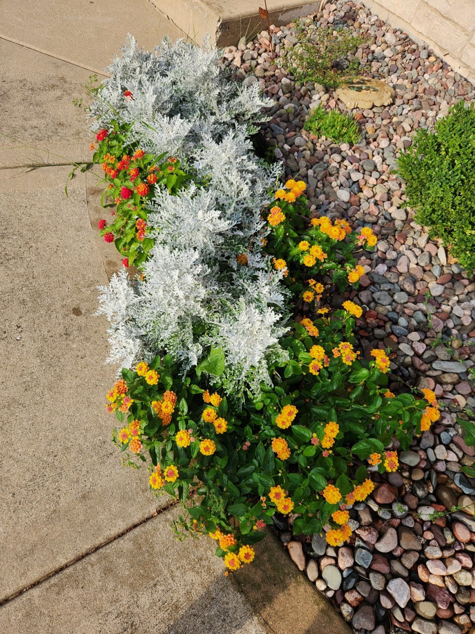 20230825_173215.jpg