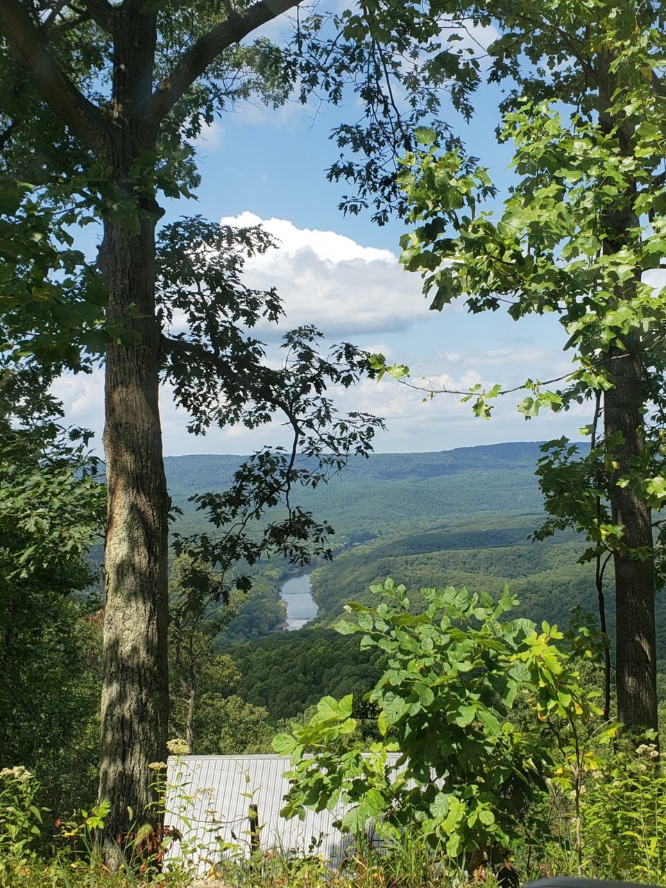 20230825_175917.jpg