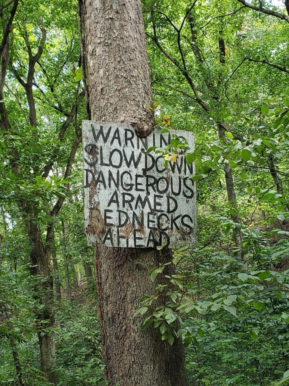 20230825_180019.jpg