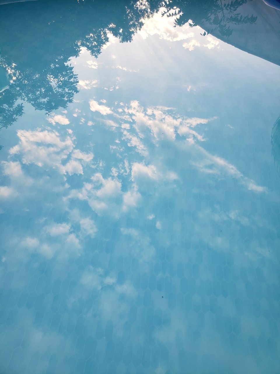 20230826_192053.jpg