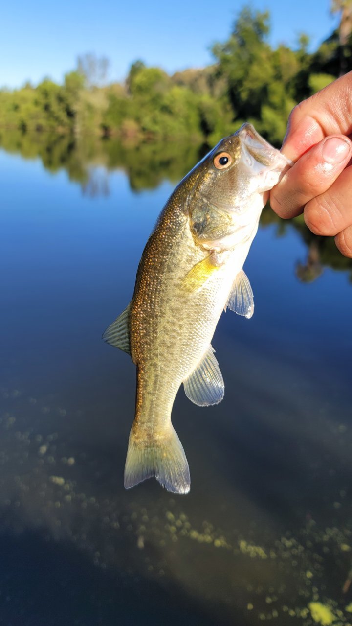 20230827_083126.jpg