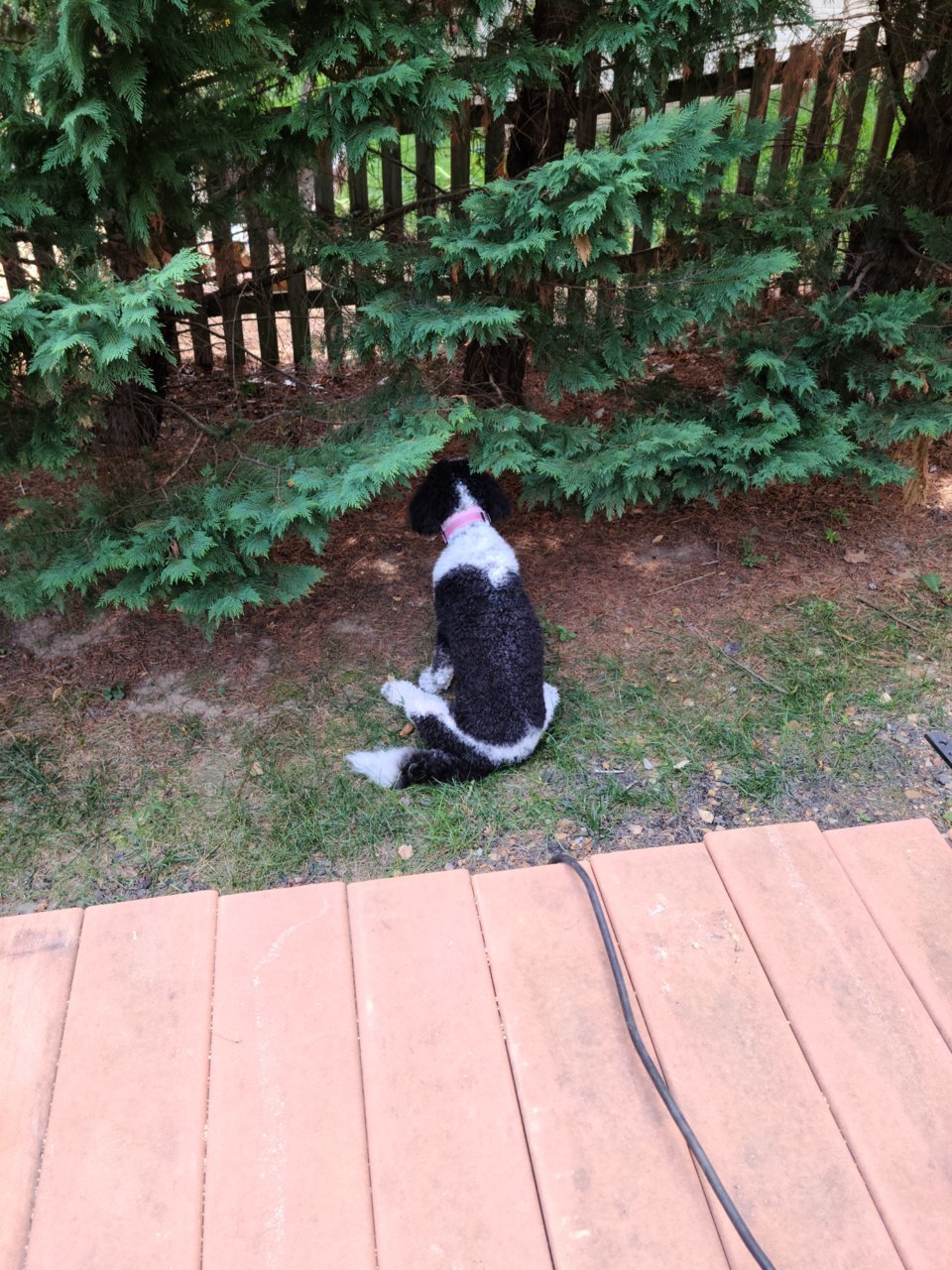 20230827_122408.jpg