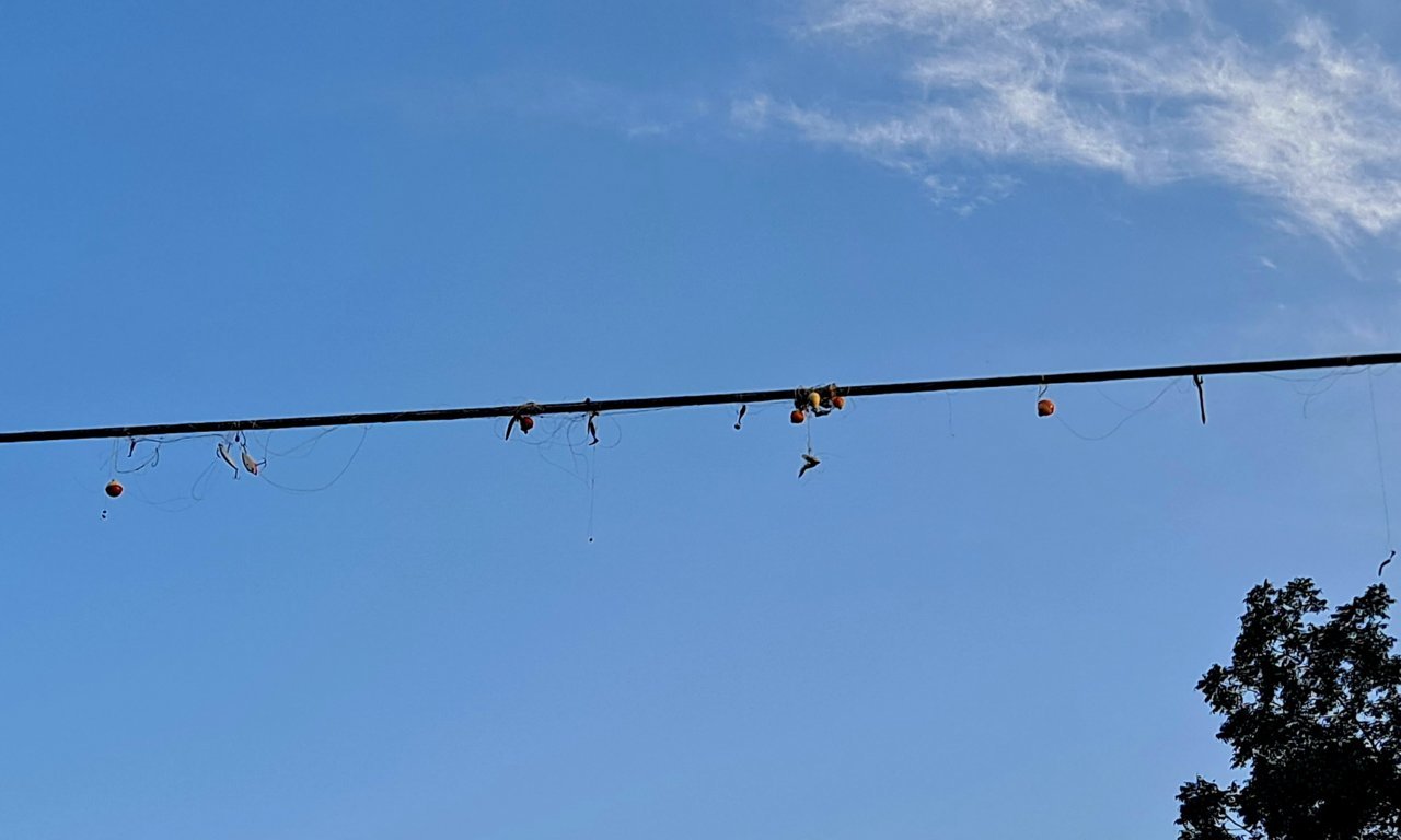 20230829_184834.jpg