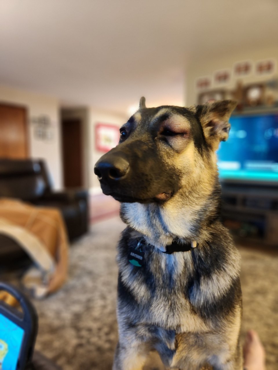 20230829_190033.jpg